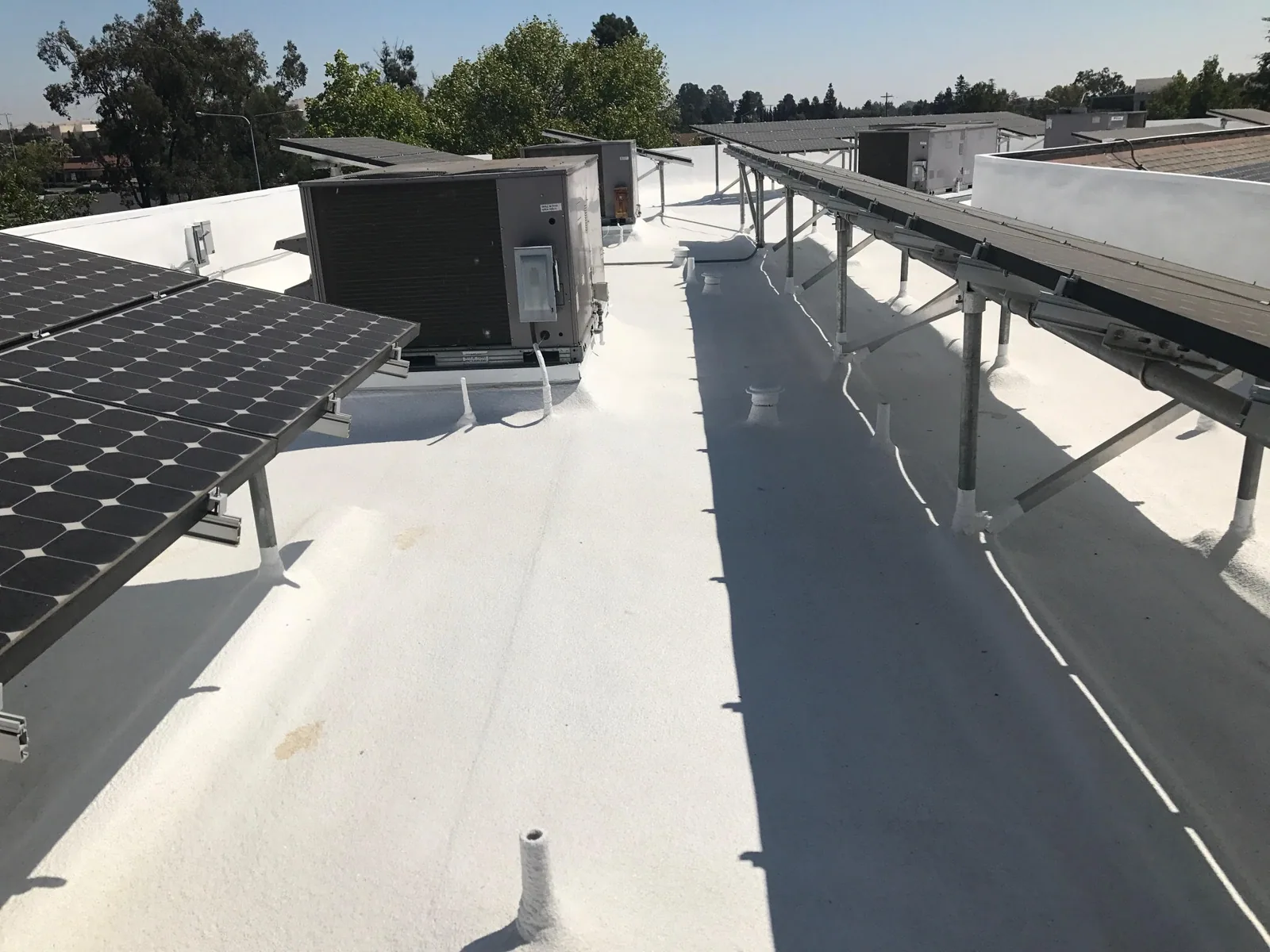 Solar-Ready Commercial Roofing in Escondido, CA
